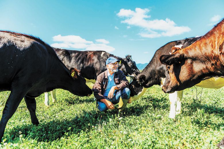 David Gremmels out in the pasture, surrounded by dairy cows. ##Photo PROVIDED
