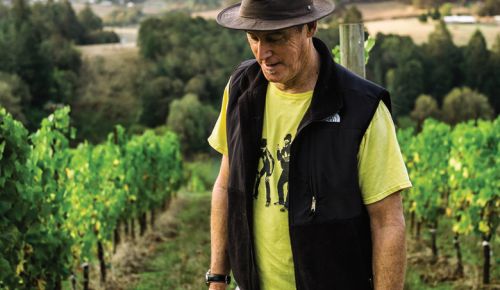 Jay Boberg during harvest at Bishop Creek Vineyard.##PHOTO BY Matthew Luczy