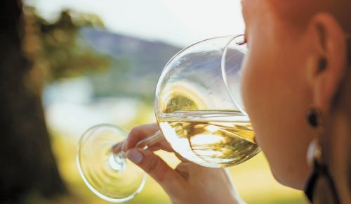 Chardonnay’s popularity is rising in Oregon.##Photo By Ales Maze on Unsplash