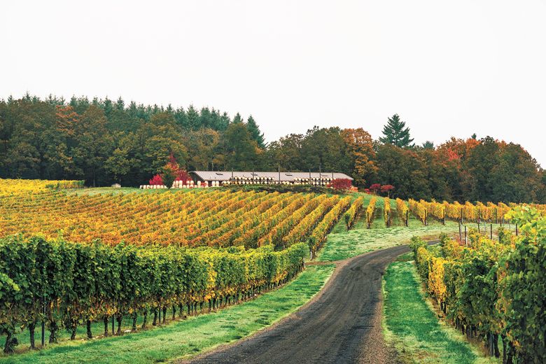 Illahe Vineyards work horses Doc and Bea help mow the vineyard in the spring, bring in fruit at harvest and occasionally provide wagon rides to guests.##PHOTO CREDIT: Easton Richmond