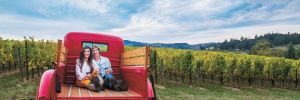 Anacréon Winery owners, Danell and Kipp Myers, enjoy time in their Chehalem Mountains estate vineyard.  Their red 1947 Ford pickup is the winery mascot, perfect for photos and enjoyed by visiting guests. ##Photo BY CAROLYN WELLS KRAMER