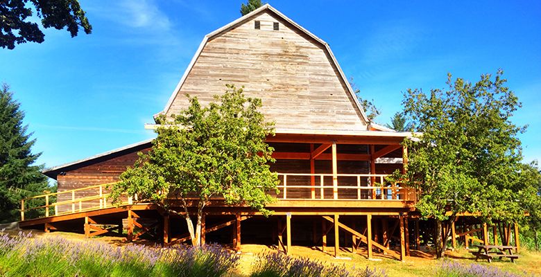 The barn at Wren Vineyard used to be a dancehall for the H Bar H Dude Ranch in the 1940s. Nowadays, the barn itself will never be up to commercial code for wine customers, so Dai Crisp and PK McCoy built out a tasting room on its south side.##Photo provided