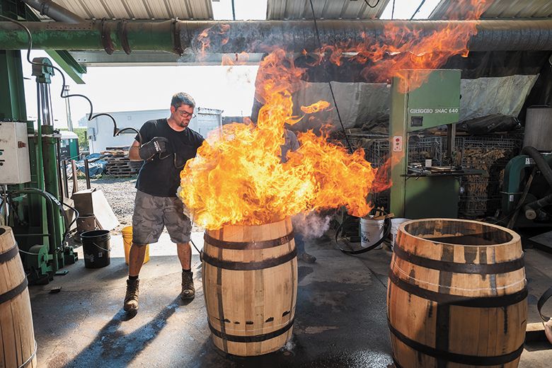 TOP: Oregon Barrel Works  Travis Scofield toasting a barrel. An Oregon white oak, known as Quercus garryana, growing at McMinnville s Oregon Barrel Works. ## Photo by Rusty Rae