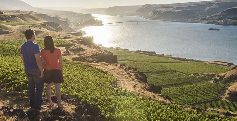 The scenery surrounding Maryhill is breathtaking by the Columbia River.