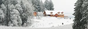 The Winter s Hill Estate Vineyard covered in snow. ## Photo provided by Winter’s Hill Estate