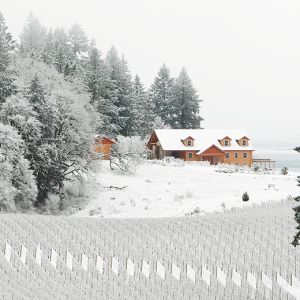 The Winter s Hill Estate Vineyard covered in snow. ## Photo provided by Winter’s Hill Estate