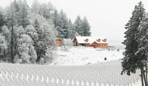The Winter s Hill Estate Vineyard covered in snow. ## Photo provided by Winter’s Hill Estate
