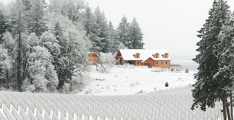 The Winter s Hill Estate Vineyard covered in snow. ## Photo provided by Winter’s Hill Estate