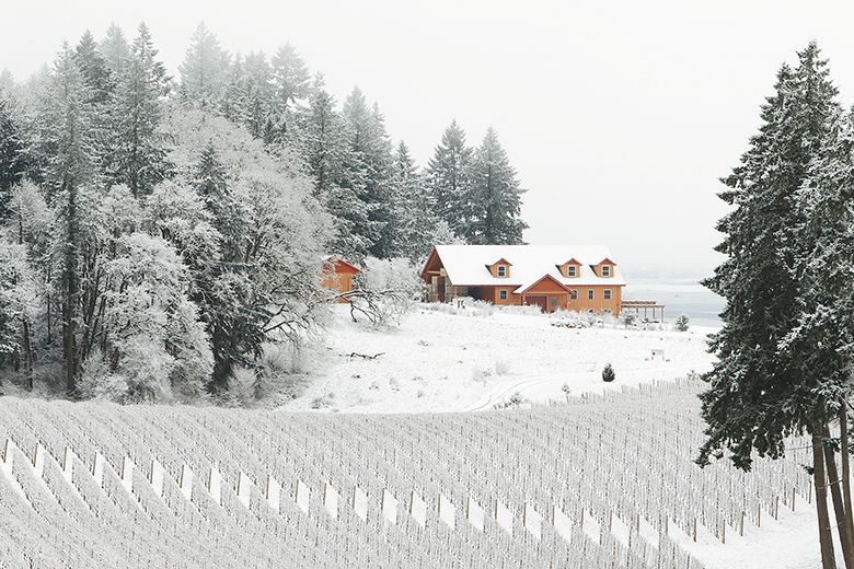 The Winter s Hill Estate Vineyard covered in snow. ## Photo provided by Winter’s Hill Estate