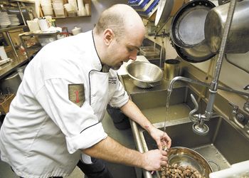 Chef Chris Czarnecki washes freshly
picked Oregon white truffles at The Joel
Palmer House in Dayton. Photos by Marcus Larson.