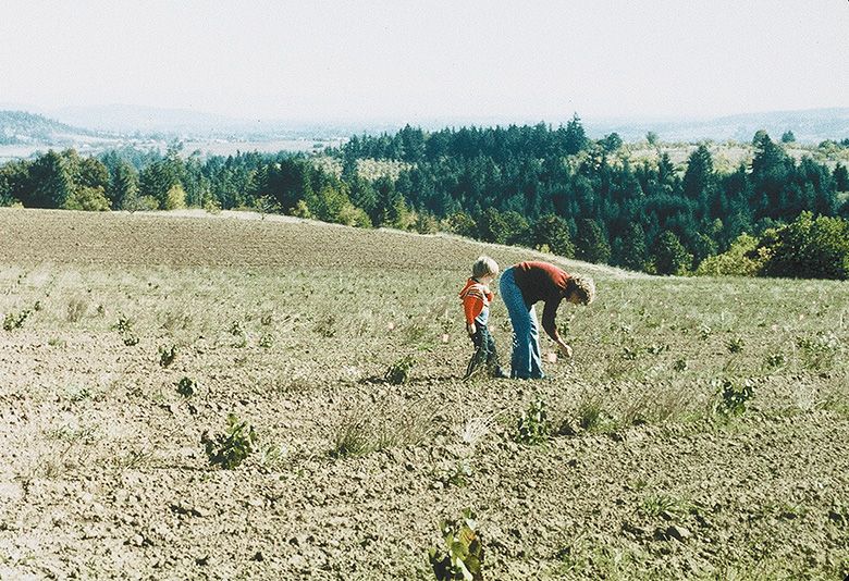 Ian Peterson-Nedry walking in the family&rsquo;s new Ridgecrest Vineyard with his mother Judy Nedry. Photo was taken in 1982 or 1983. ## Photo provided by Ridgecrest