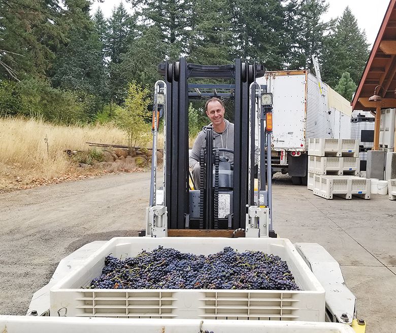 Winemaker Andrew Davis driving a forklift with a bin of newly picked grapes during Lytle-Barnett s 2019 harvest. ## Photo by Scott Dwyer