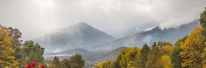 An Applegate Valley vineyard with a backdrop of nearby mist-covered mountains. ## Photo provided by Uncorked Barrel Tour