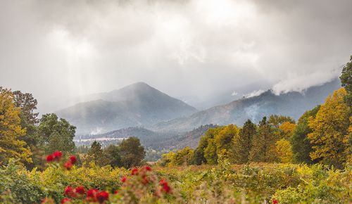 An Applegate Valley vineyard with a backdrop of nearby mist-covered mountains. ## Photo provided by Uncorked Barrel Tour