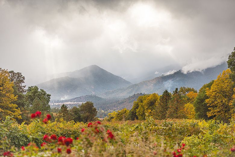 An Applegate Valley vineyard with a backdrop of nearby mist-covered mountains. ## Photo provided by Uncorked Barrel Tour