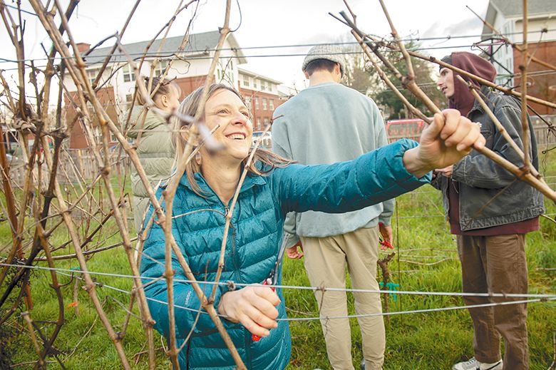Toni Ketrenos pruning dormant grapevines on the Linfield University campus. ## Photo provided by Linfield University