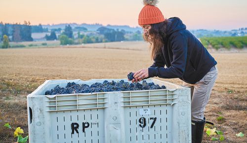 Atticus Wines  winemaker 
and owner, Ximena Orrego, 
at her Yamhill-Carlton vineyard. ## Photo by Aaron Lee, Courtesy of the Oregon Wine Board