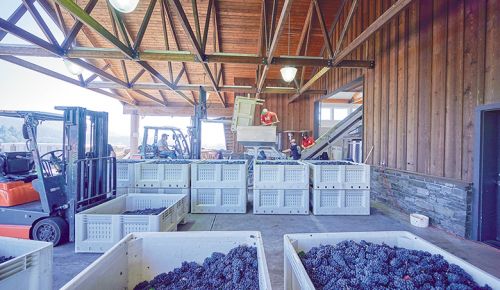 ## Photo by Aaron Lee, Courtesy of the Oregon Wine Board