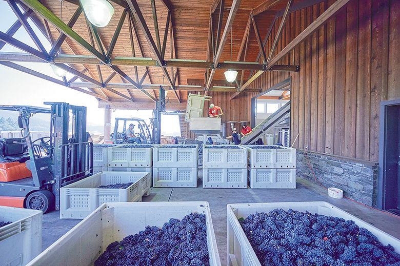 ## Photo by Aaron Lee, Courtesy of the Oregon Wine Board