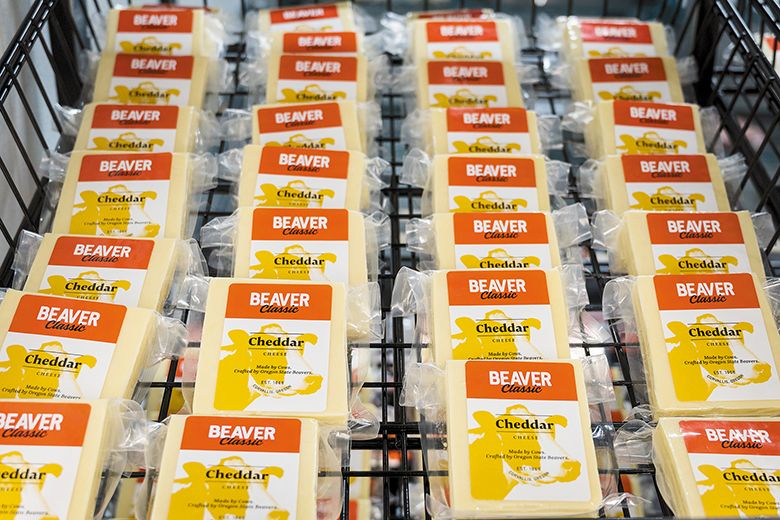 Rows of student-made cheddar cheese for sale at OSU s new The Beaver Classic Creamery. ## Photo provided by OSU College of Agricultural Sciences