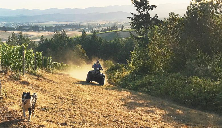 Chris and Theo on the ATV with Ditto leading the way.