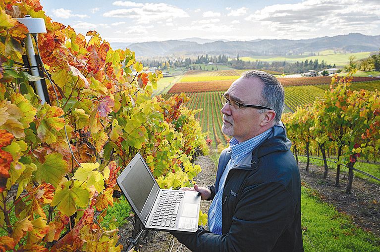 Abacela&rsquo;s CEO, Greg Jones, PhD, collecting data from a weather station monitoring the vineyard. ## Photo provided by Abacela