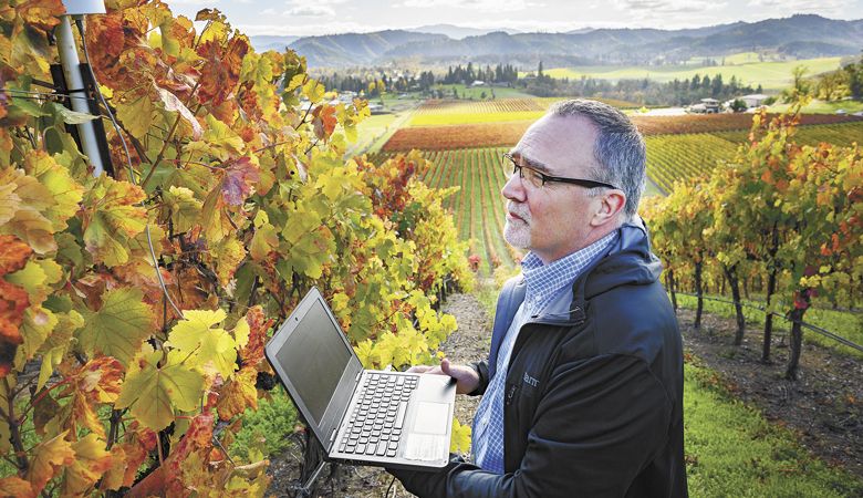 Earl Jones’ son, climatologist Greg Jones, records data in the vineyard for Abacela. ##Photo by Andrea Johnson