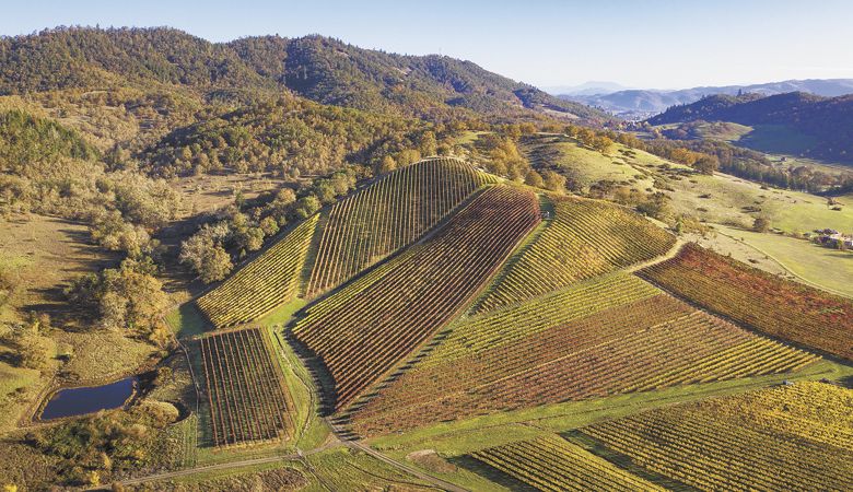 Fault Line Vineyards shines in the glory of Oregon fall. ##Photo by Andrea Johnson