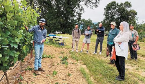 Dr. Levin sharing his research findings with a group of grape growers..##Photo provided