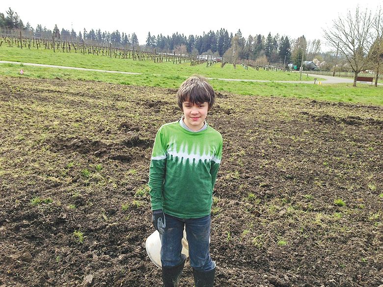 Alexander Blosser working at the family vineyard as a child. ## Photo provided by Sokol Blosser Winery