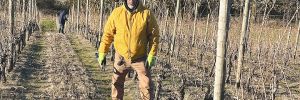 Montinore Estate’s vineyard foreman Alfredo Santiago standing among the winter vines. He has served the winery for over 40 years. ## Photo by Clay Wesson
