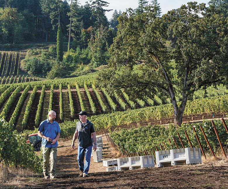 Results Partners&rsquo; Ryan Wilkinson (left), walking in the vineyard with Rob Townsend, owner of Ambar Estate. ## Photo by Andrea Johnson
