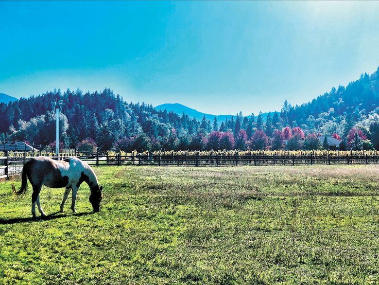 The bucolic views from Apricity Vineyard, a Certified Naturally Grown farm.##Photo provided by Apricity Vineyard