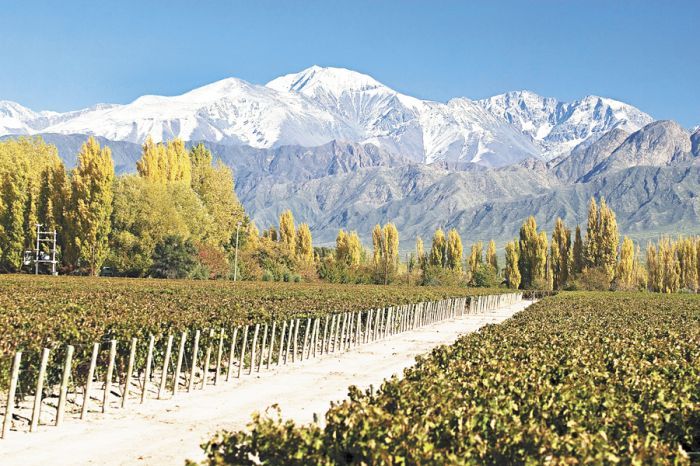 Las Compuertas is a wine-producing region on the edge of the Andes foothills in Mendoza. Its location at the opening of the Mendoza River makes it one of the cooler growing areas in Argentina. Soft, lush reds are produced here from old Malbec vineyards, some up to a century old. Las Compuertas is a wine-producing region on the edge of the Andes foothills in Mendoza. Its location at the opening of the Mendoza River makes it one of the cooler growing areas in Argentina. Soft, lush reds are produced here from old Malbec vineyards, some up to a century old.