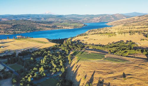 Aerial view of Syncline Estate Vineyards and Winery in Lyle, Washington. ## Photo by Brian Richardson Vinbound Marketing