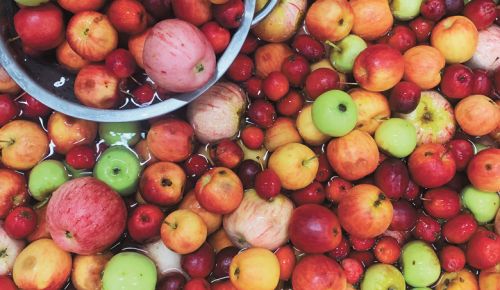 A variety of apples ready for processing. ##Photo by Kim Hamblin