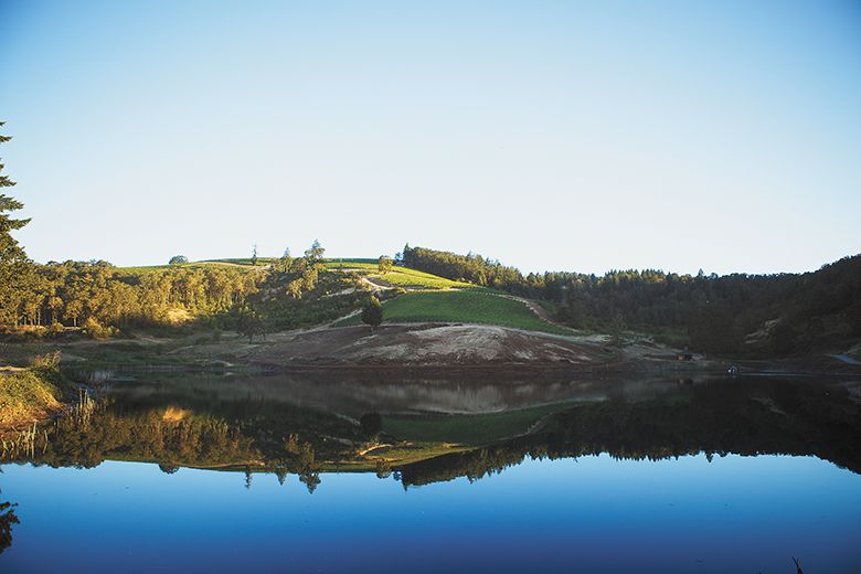 Views of the 532-acre Momtazi Vineyard, located in the McMinnville AVA. ##Photo by Dominic Allen