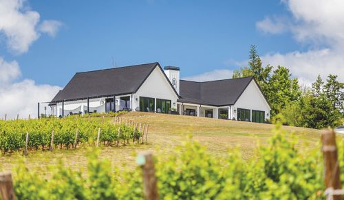 Aligot&eacute; Affair host Balsall Creek Vineyards, located in the Chehalem Mountains. ## Photo provided by Balsall Creek