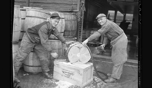 Barrel makers are also known as coopers.