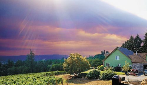 Photo by Sara Specter of Bells Up winery Photo by Sara Specter of Bells Up winery