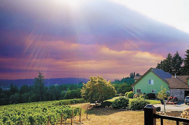 Photo by Sara Specter of Bells Up winery Photo by Sara Specter of Bells Up winery