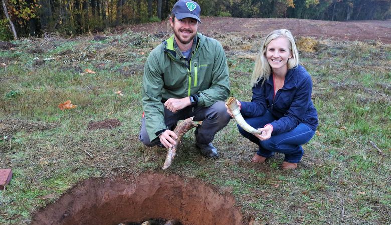 Viticulturist Clay Wesson and Willamette Valley Vineyards winery director Christine Clair bury cow horns filled with silica, a Biodynamic preparation, at Bernau Estate. ##Photo by Mandy Morgan