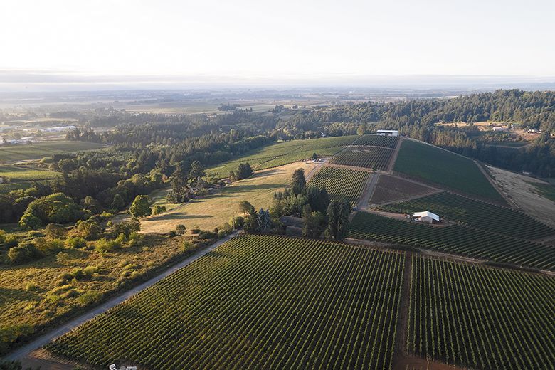 A birds-eye view of Dundee Hills  Bergström Vineyard and the surrounding area. ## Photo By Carolyn Wells-Kramer, courtesy of the Oregon Wine Board