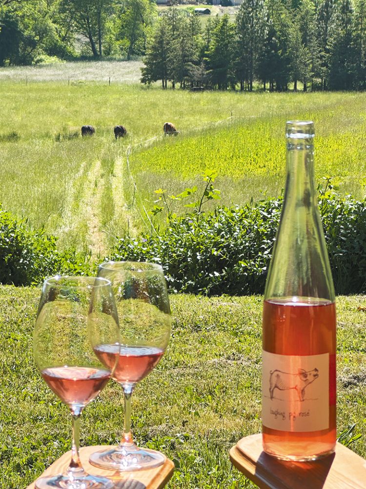 Two glasses and a bottle of Big Table Farm ros&eacute; as cows graze in the field below. ## Photo provided by Big Table Farm
