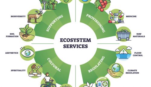 A diagram outlining the various aspects of different ecosystem services.##Stock image
