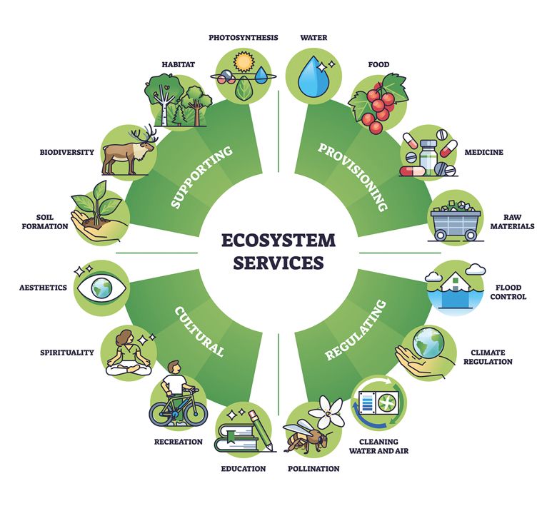 A diagram outlining the various aspects of different ecosystem services.##Stock image