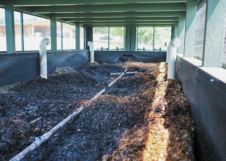 Inside a working BioFiltro unit, filled with worms. ##Photo provided by Biofiltro