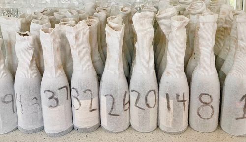 Cellar Selects wine submission samples, “bagged” in numbered socks, ready to be tasted blind. ## Photo by Michele Francisco