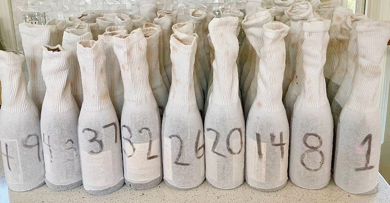 Cellar Selects wine submission samples, “bagged” in numbered socks, ready to be tasted blind. ## Photo by Michele Francisco Cellar Selects wine submission samples, “bagged” in numbered socks, ready to be tasted blind. ## Photo by Michele Francisco