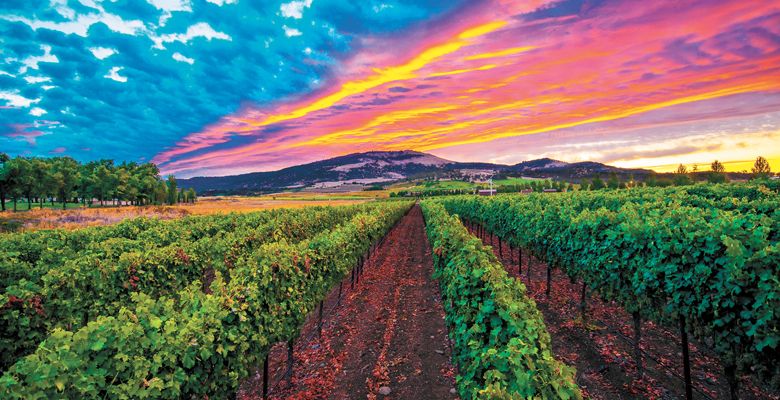 Sunset over Bradley Vineyards. ##Photo provided by Bradley Vineyards